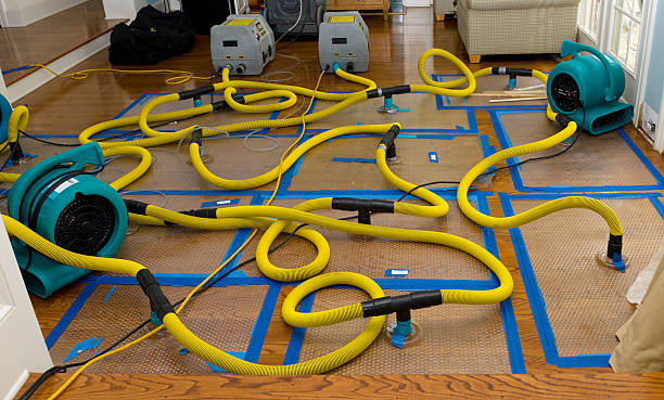 Professional Structural Drying And Dehumidification technician working in Johnson City, TX